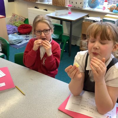 Senses workshop